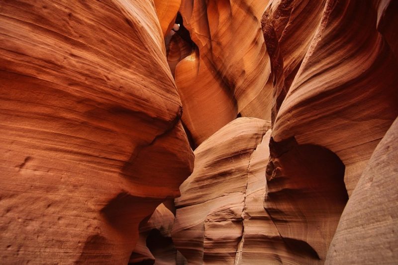 Vánoční burzovní týden přinese jen pár klíčových dat z USA